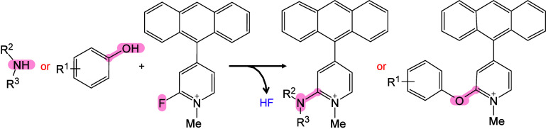 Figure 42