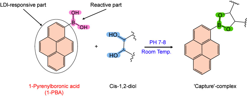 Figure 45