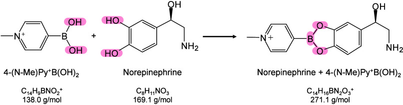 Figure 46