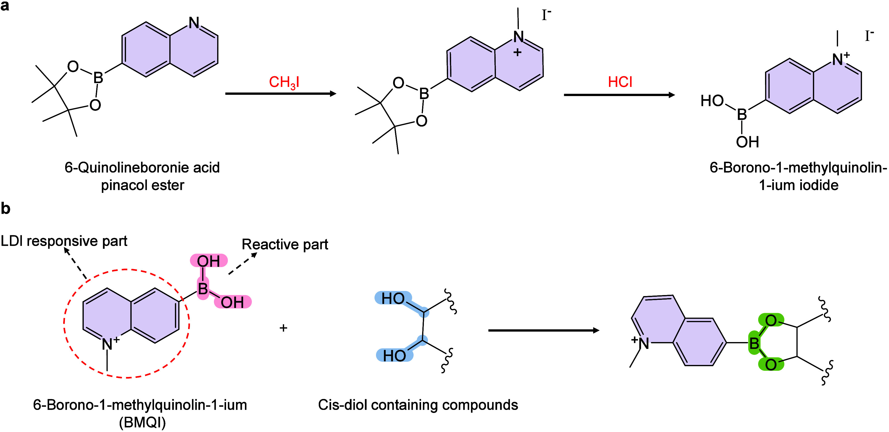 Figure 48