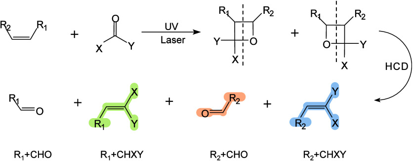 Figure 50