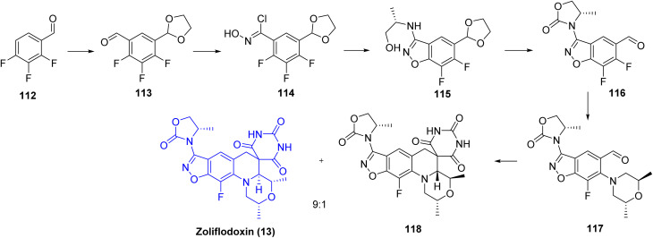 Figure 13