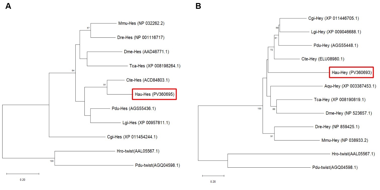 Figure 10