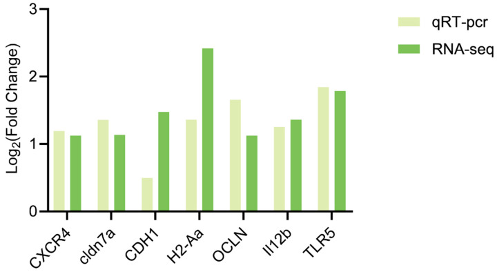 Figure 6