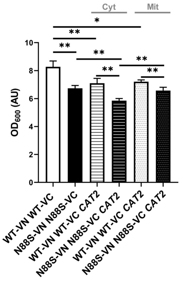 Figure 10