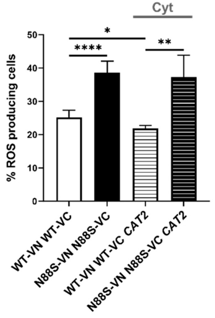 Figure 11