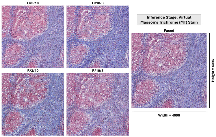 Figure 12