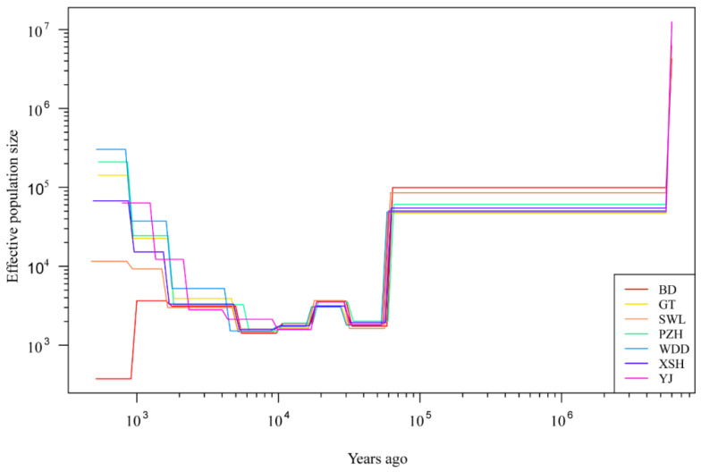 Figure 6