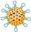 Figure 14