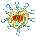 Figure 20