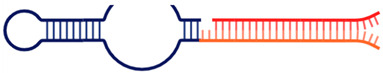 Figure 25
