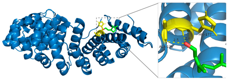 Figure 10