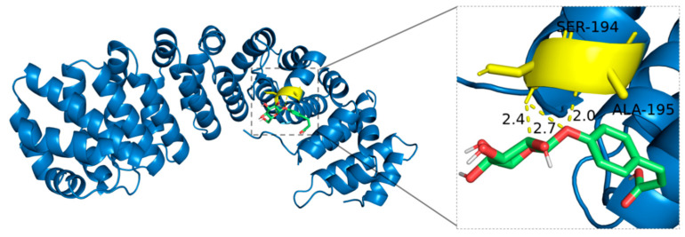 Figure 11