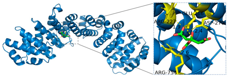 Figure 14