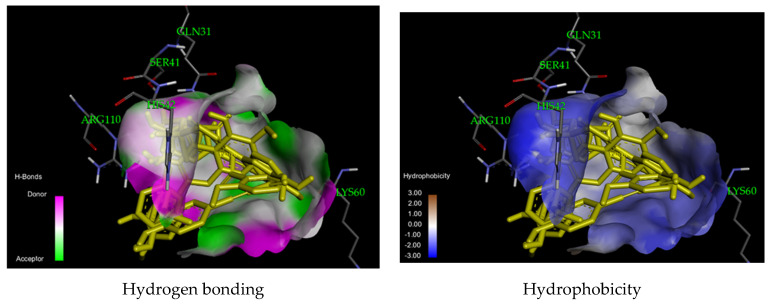 Figure 6