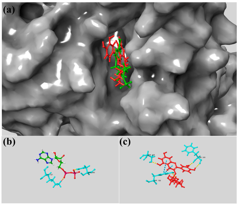 Figure 5