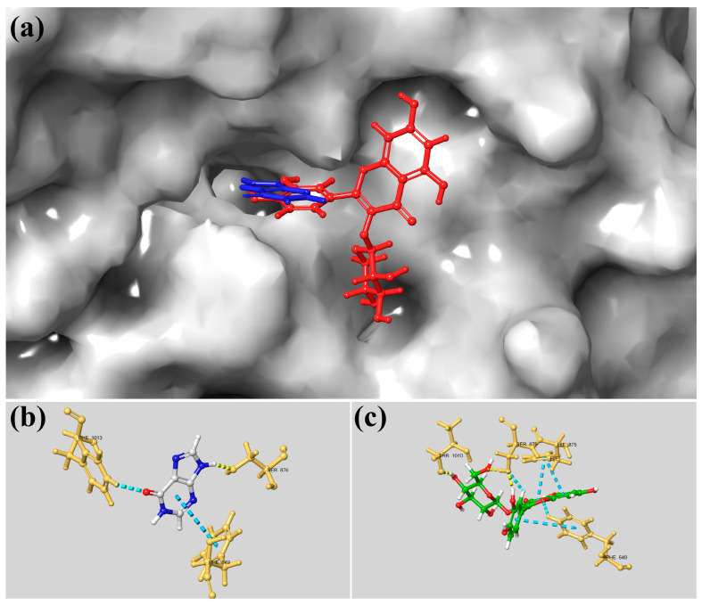 Figure 6