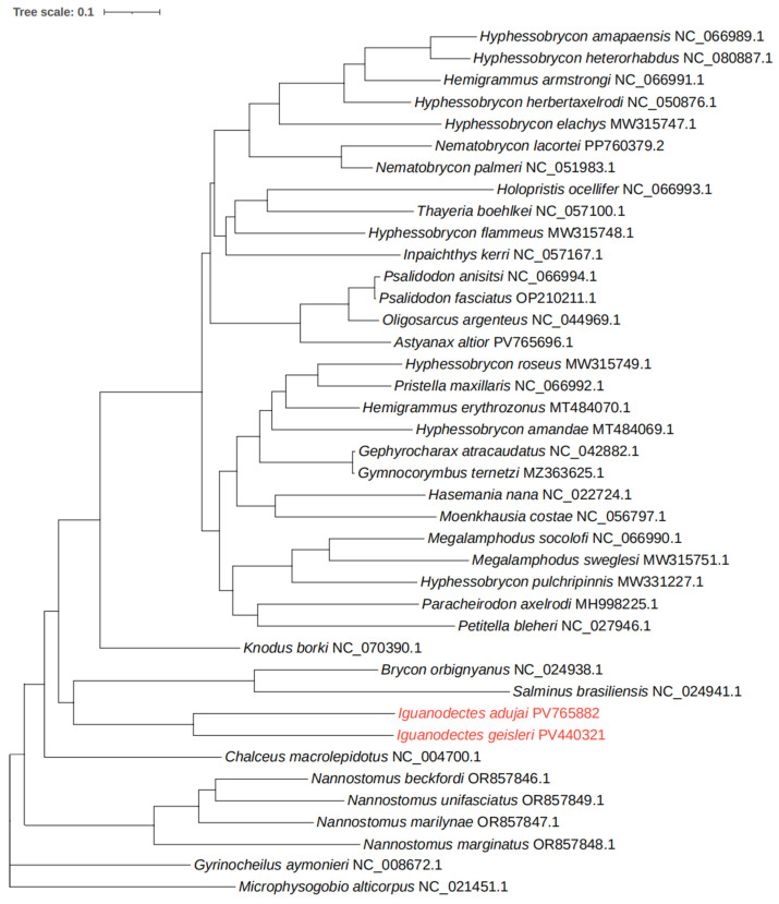 Figure 4