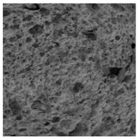 Figure 29