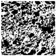 Figure 30