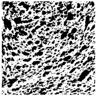 Figure 33