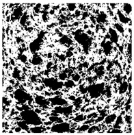 Figure 36