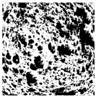 Figure 45