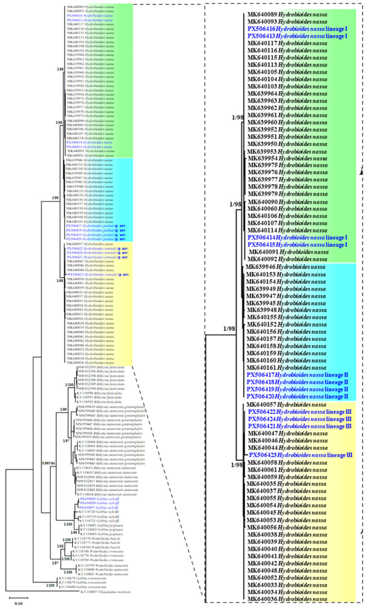 Figure 2