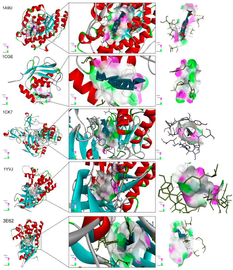 Figure 11