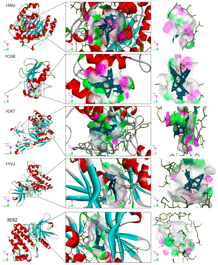 Figure 12