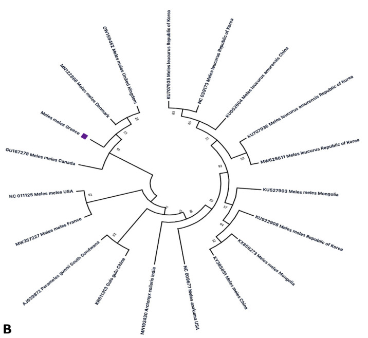 Figure 15