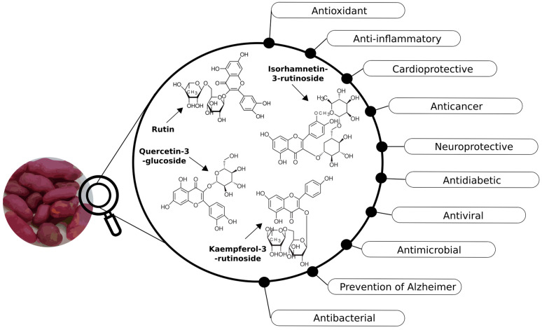Figure 9