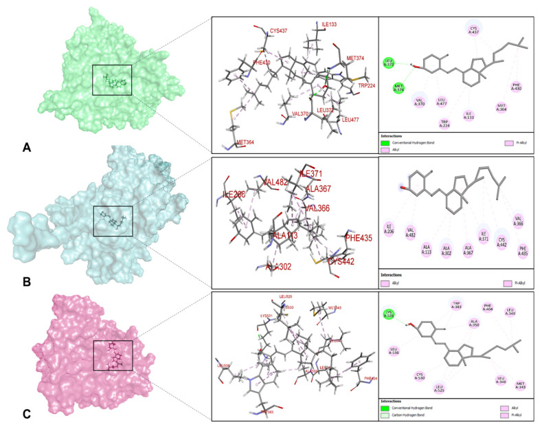 Figure 12
