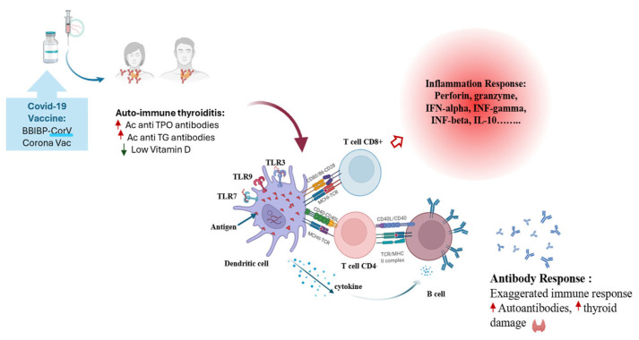 Figure 16