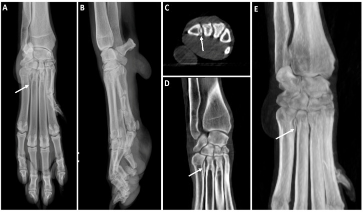 Figure 11