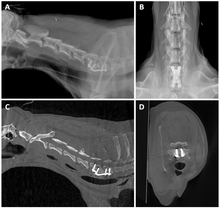 Figure 12
