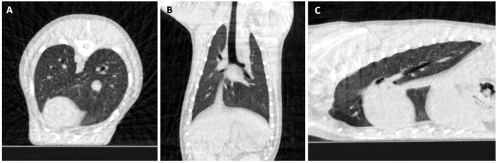 Figure 13