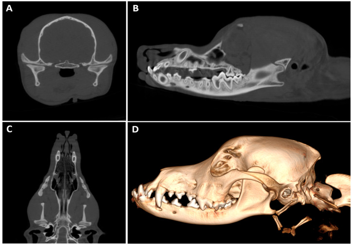 Figure 15