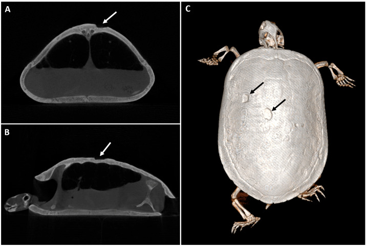 Figure 16