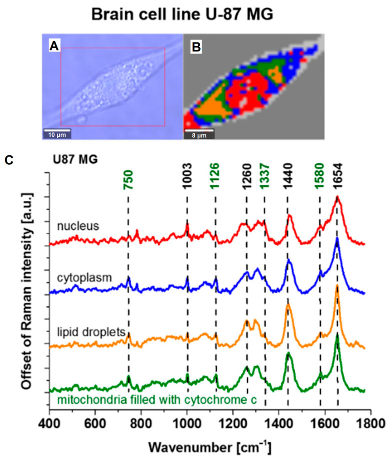 Figure 10