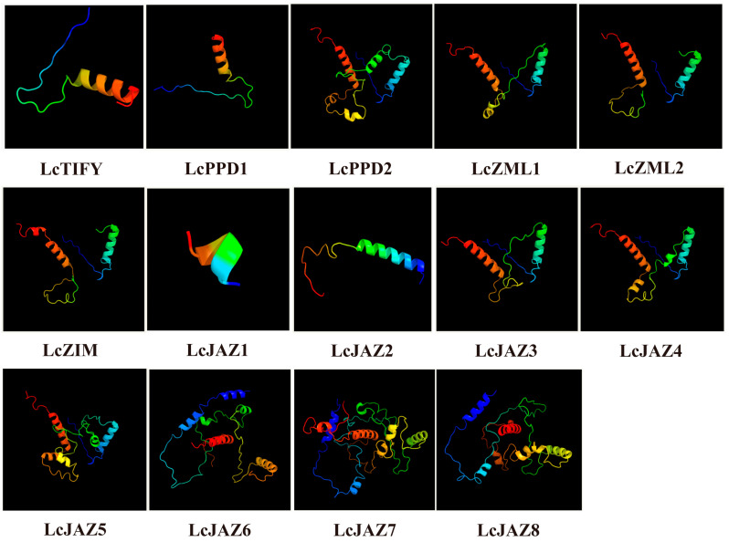 Figure 5
