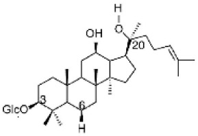 Figure 24