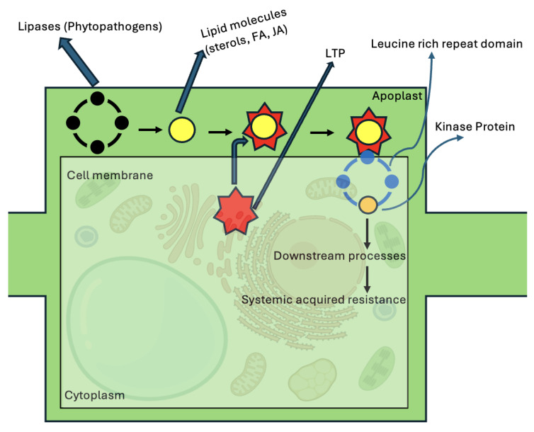 Figure 5