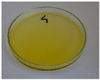 Figure 22