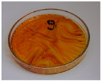 Figure 24