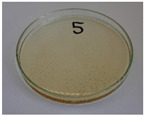 Figure 27