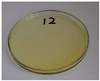 Figure 28