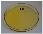 Figure 29