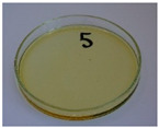 Figure 31