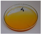 Figure 32